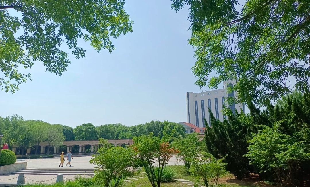 大港公园旅行图片 2