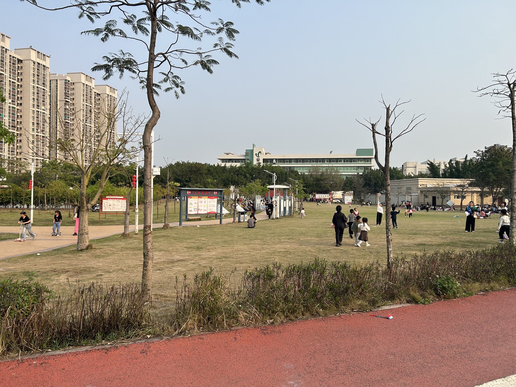 大港公园旅行图片 3