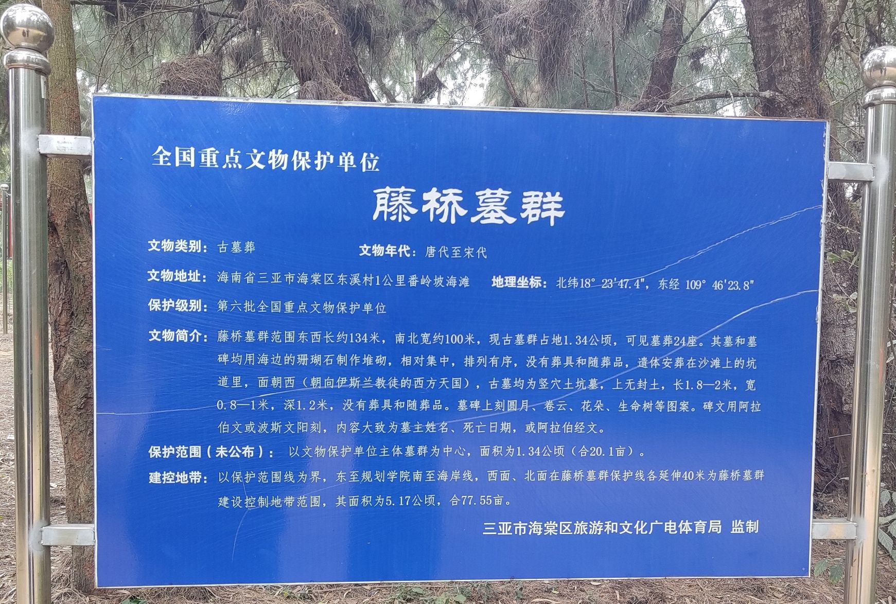 藤桥古墓群(不对外开放)旅行图片 1