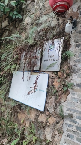始兴古堡旅行图片 3
