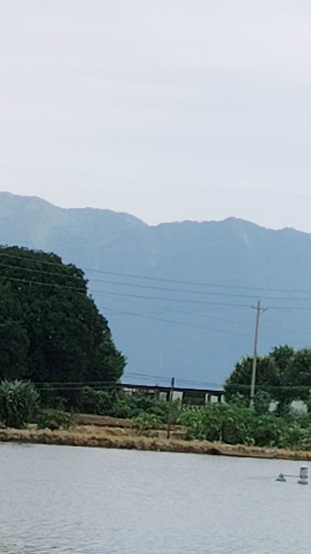 天湖鹭鸟生态村旅行图片 3