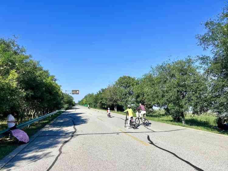 仁爱团泊湖·国际休闲博览园旅行图片 3