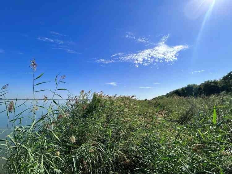 仁爱团泊湖·国际休闲博览园旅行图片 2