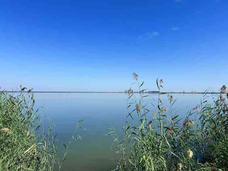 仁爱团泊湖·国际休闲博览园旅行图片 1