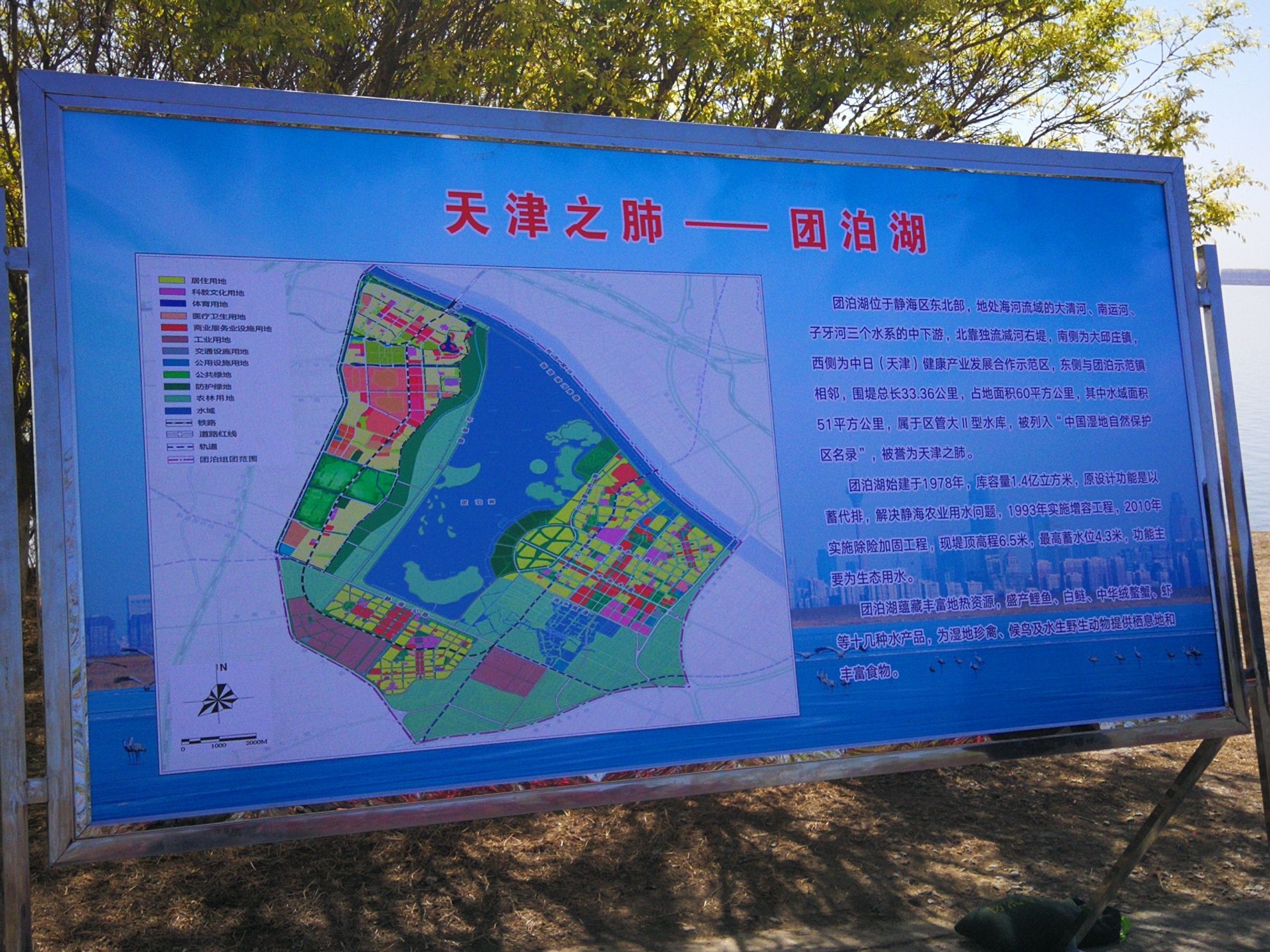 仁爱团泊湖·国际休闲博览园旅行图片 2