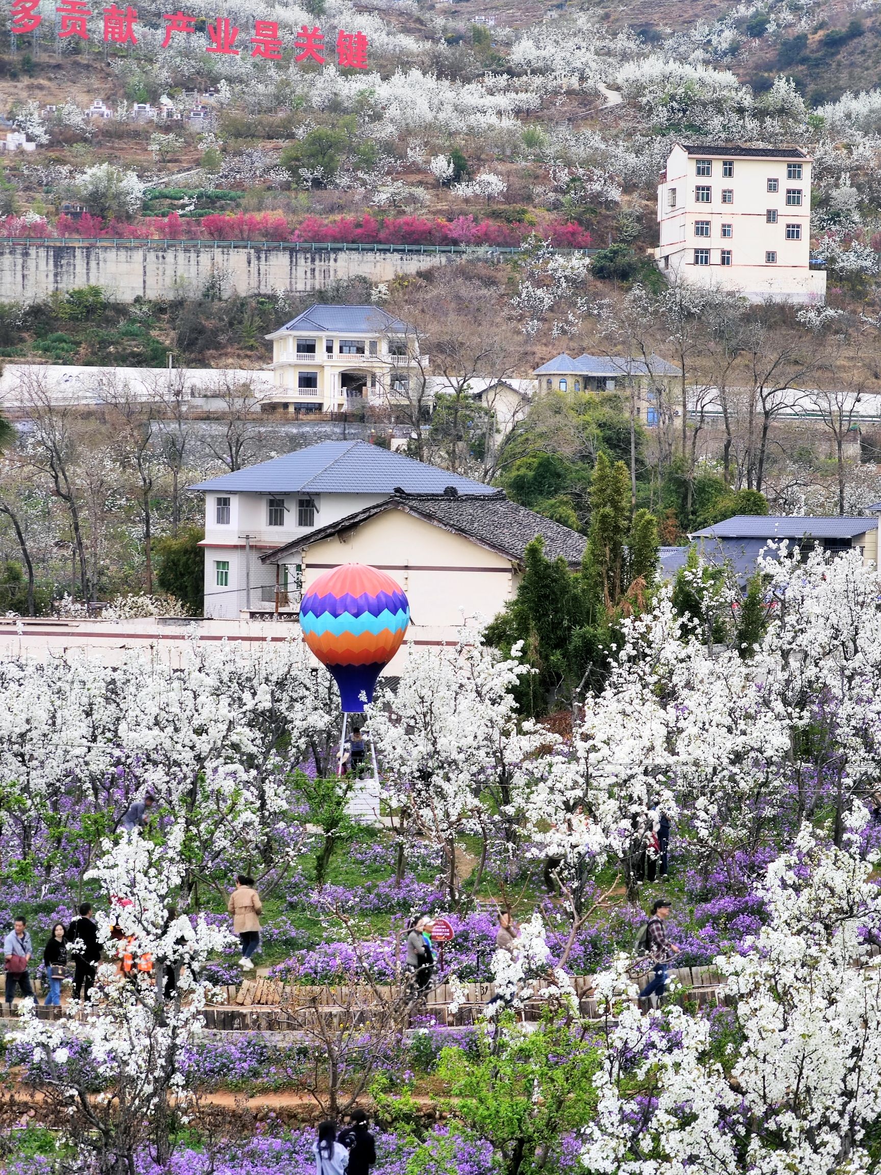 雅安市汉源县花海果乡旅游景区旅行图片 1