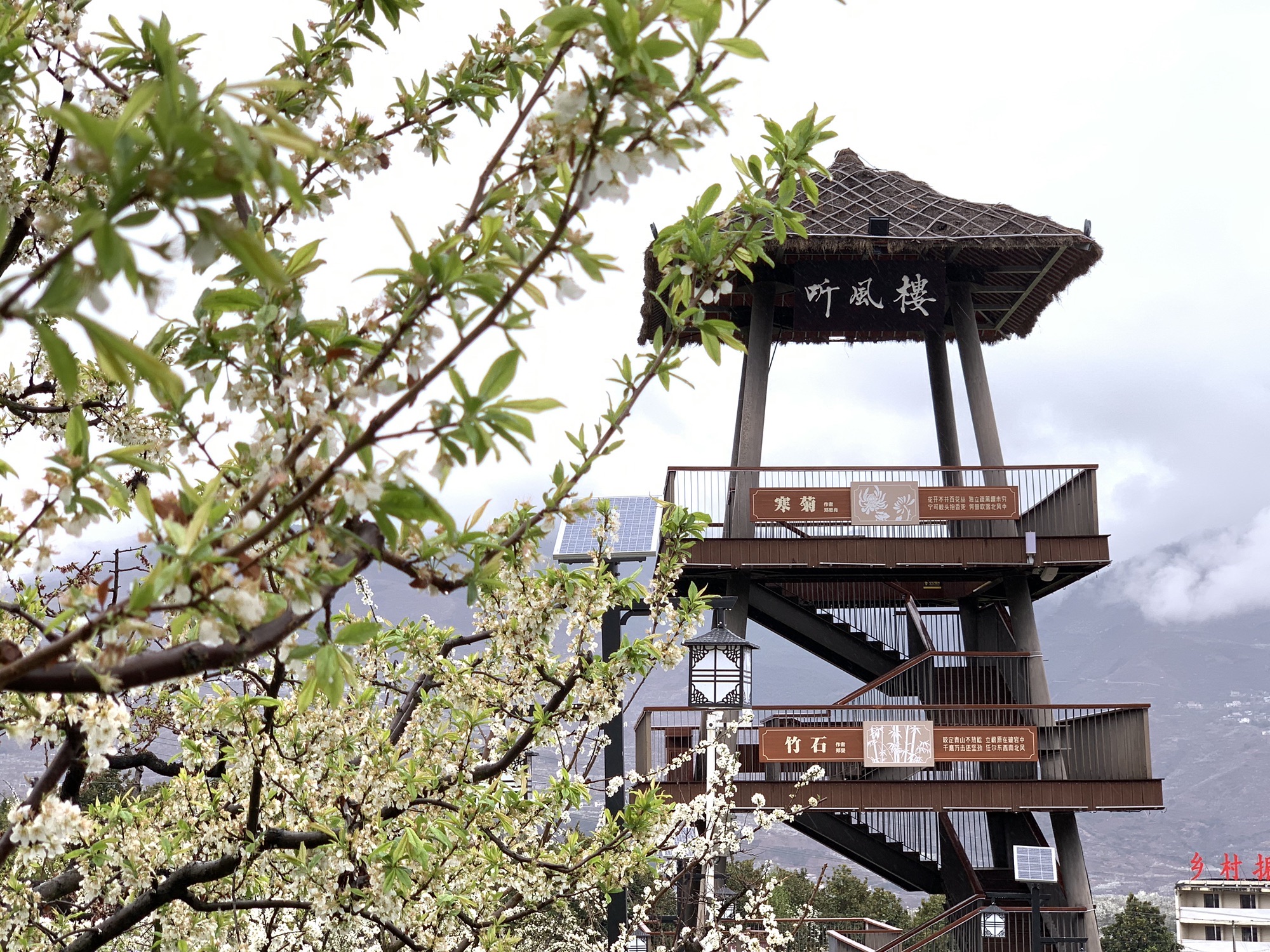 雅安市汉源县花海果乡旅游景区旅行图片 1