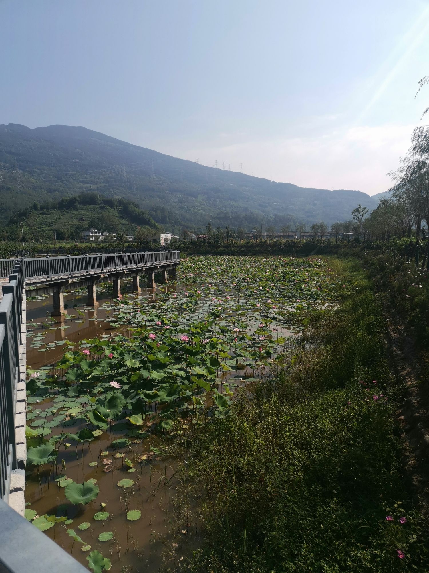 雅安市芦山县龙门古镇旅游景区旅行图片 3