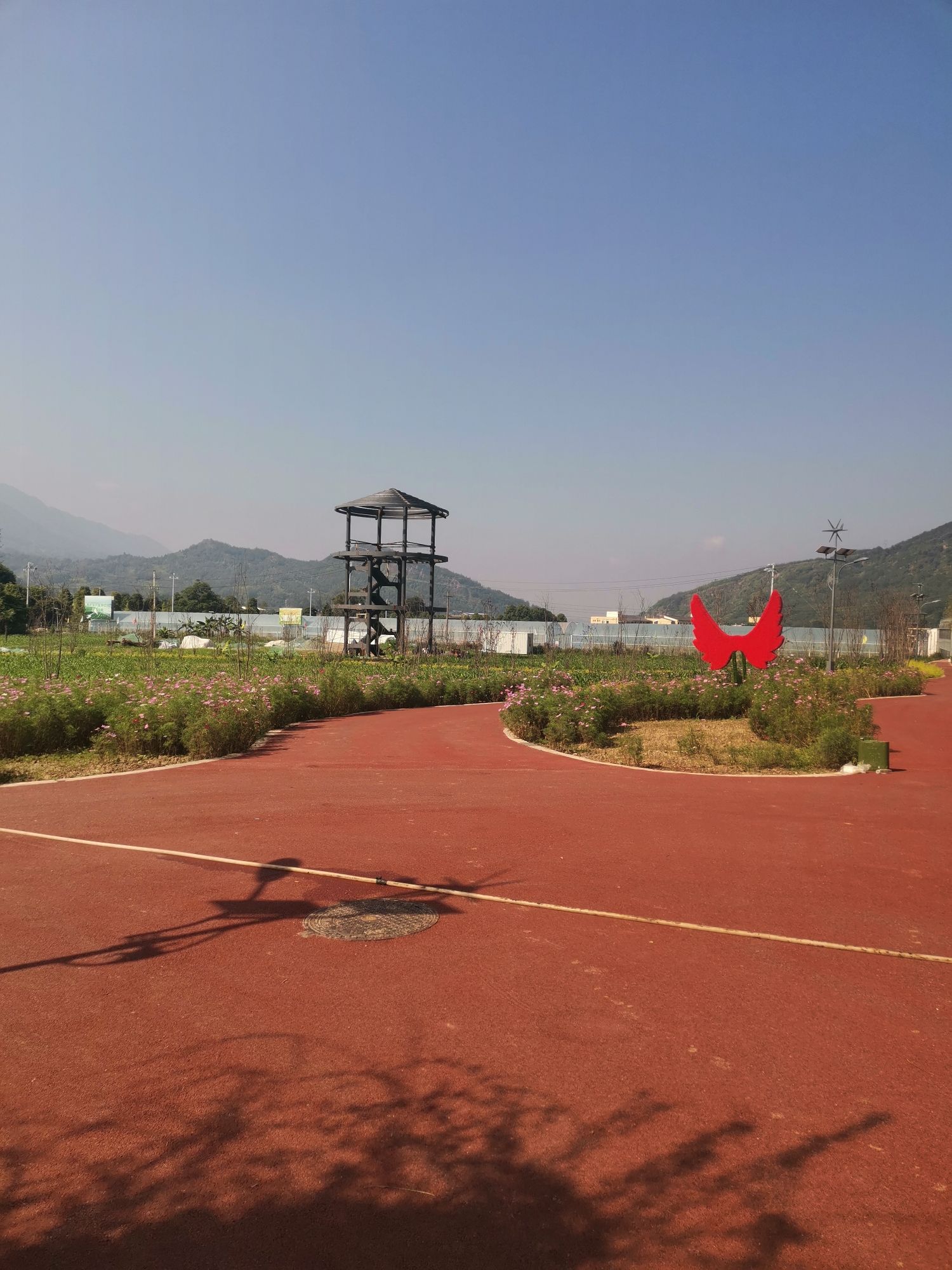 雅安市芦山县龙门古镇旅游景区旅行图片 2