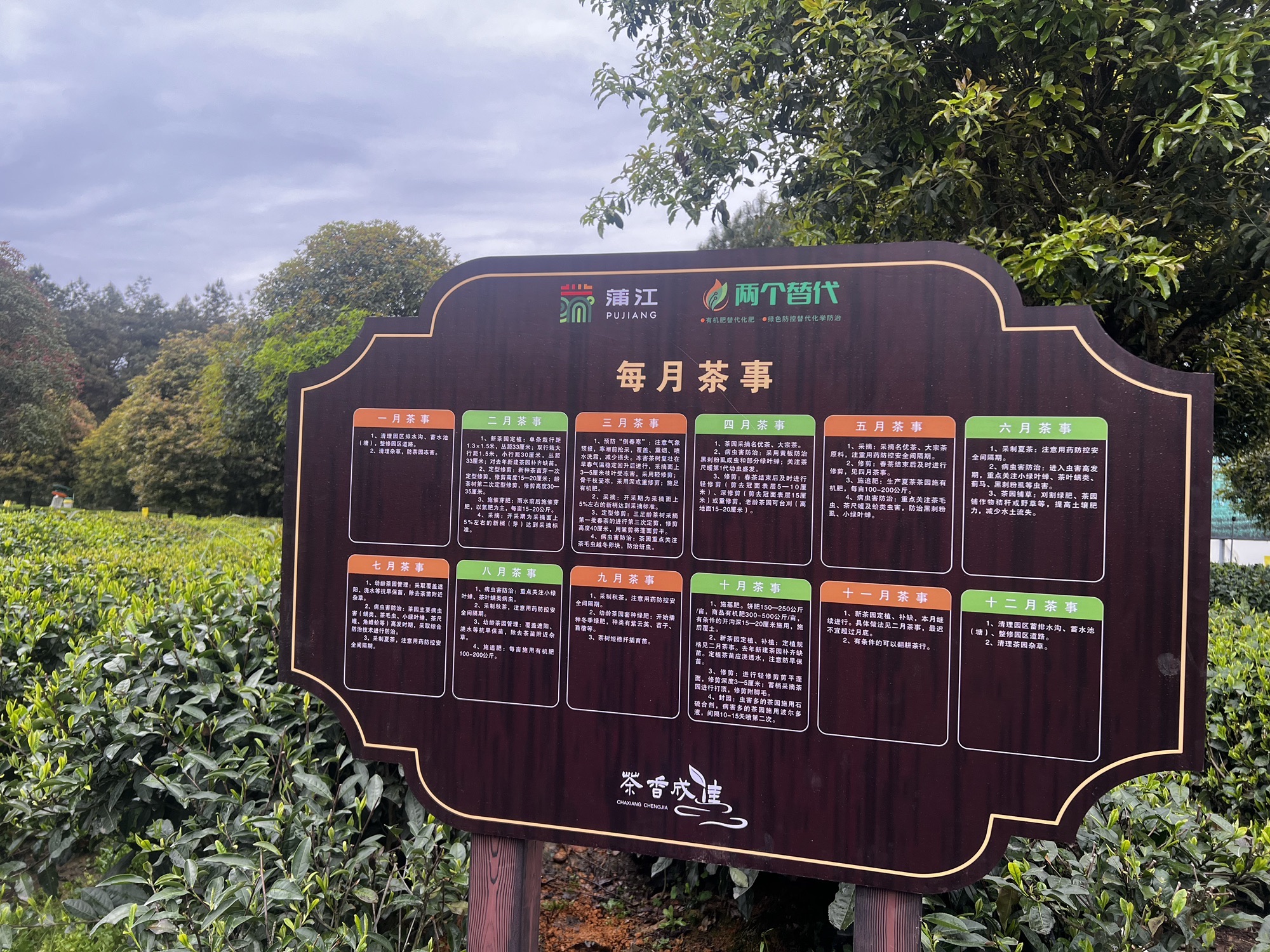 成都市蒲江成佳茶乡旅游景区