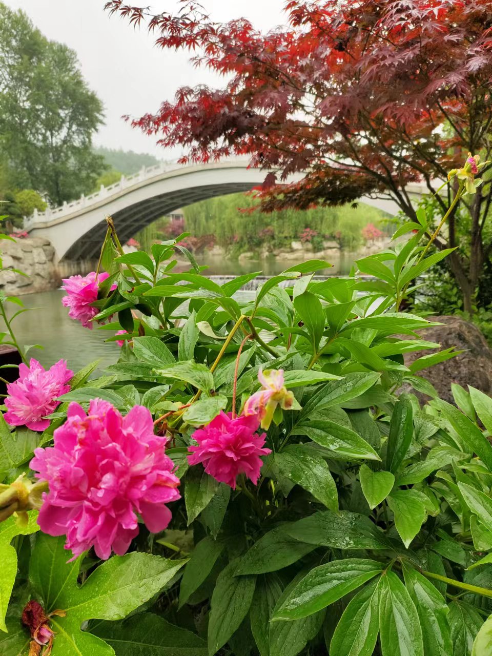 康县花桥村景区