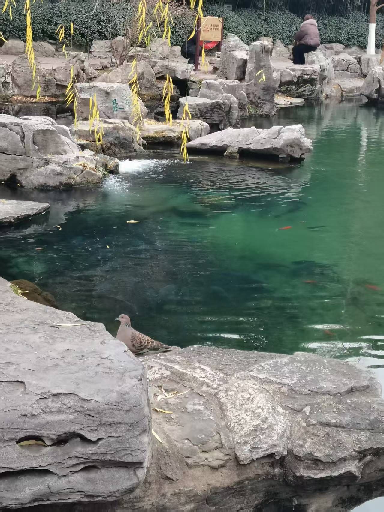 天下第一泉景区旅行图片 2