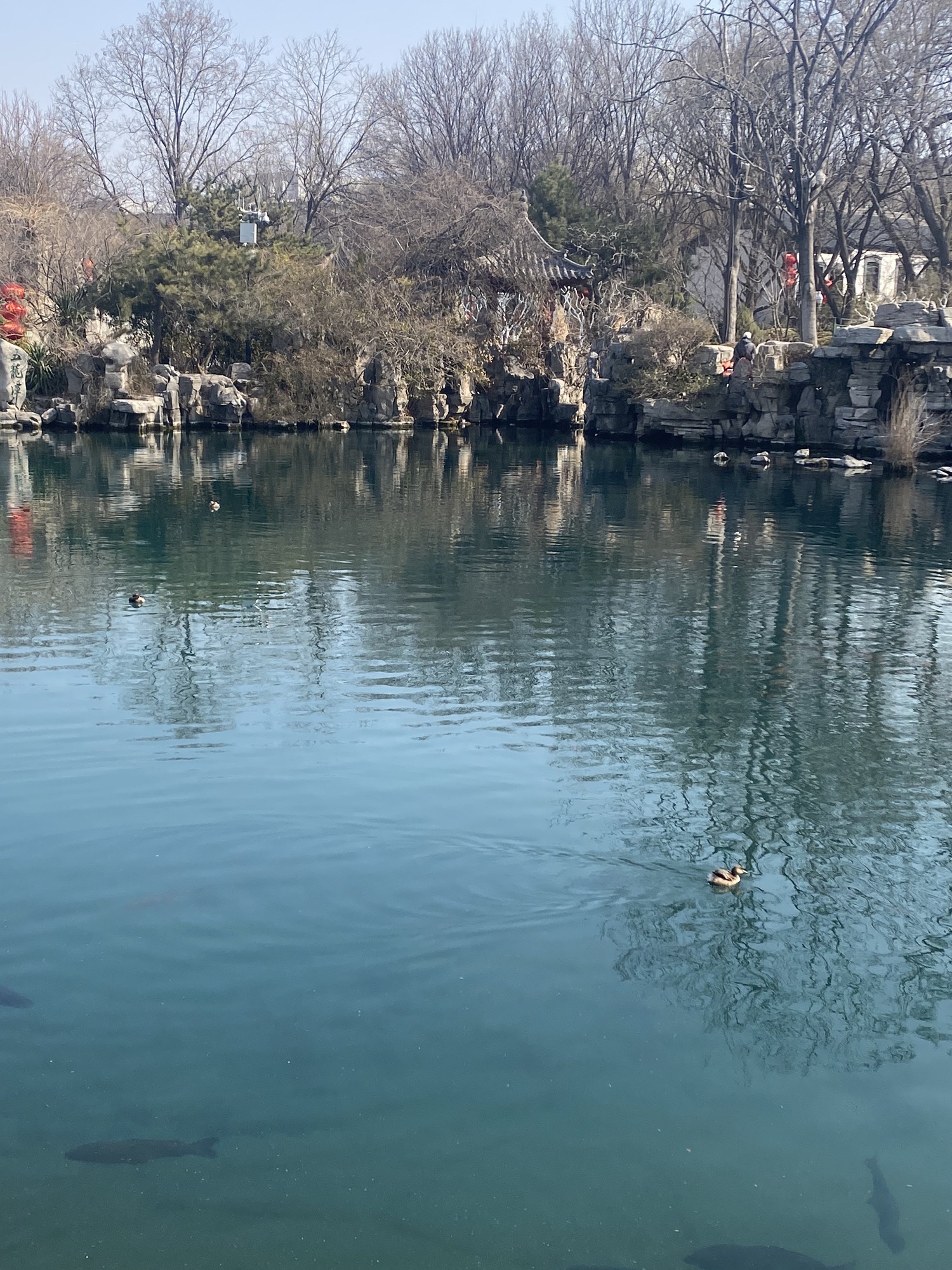 天下第一泉景区旅行图片 3
