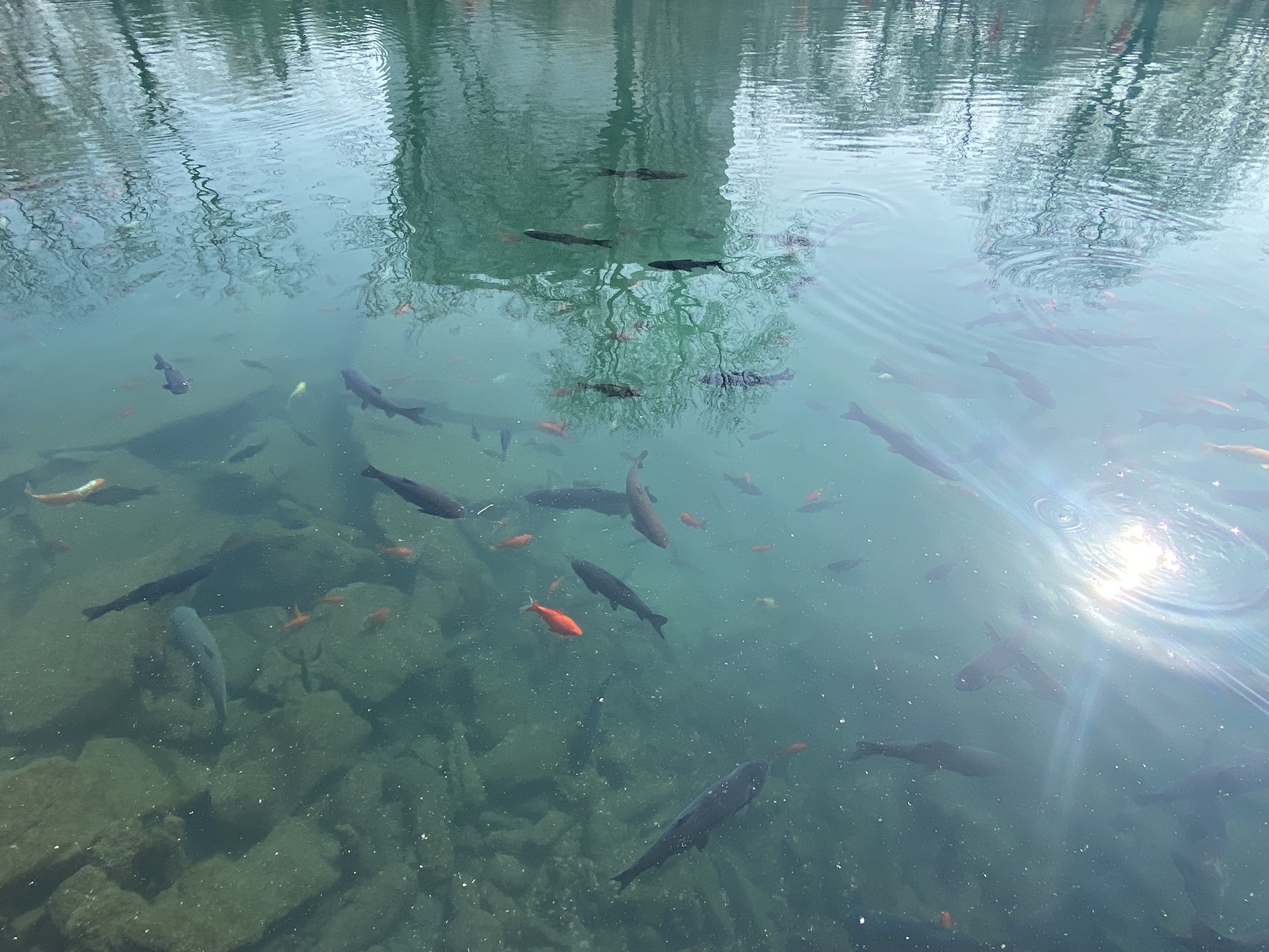 天下第一泉景区旅行图片 2