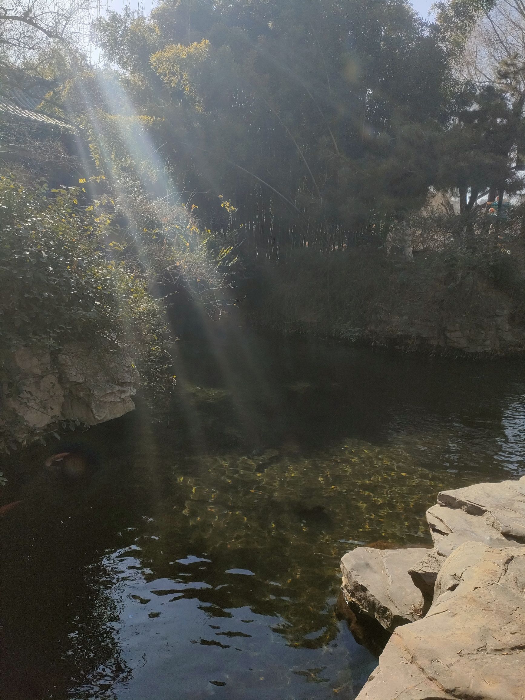 天下第一泉景区旅行图片 2