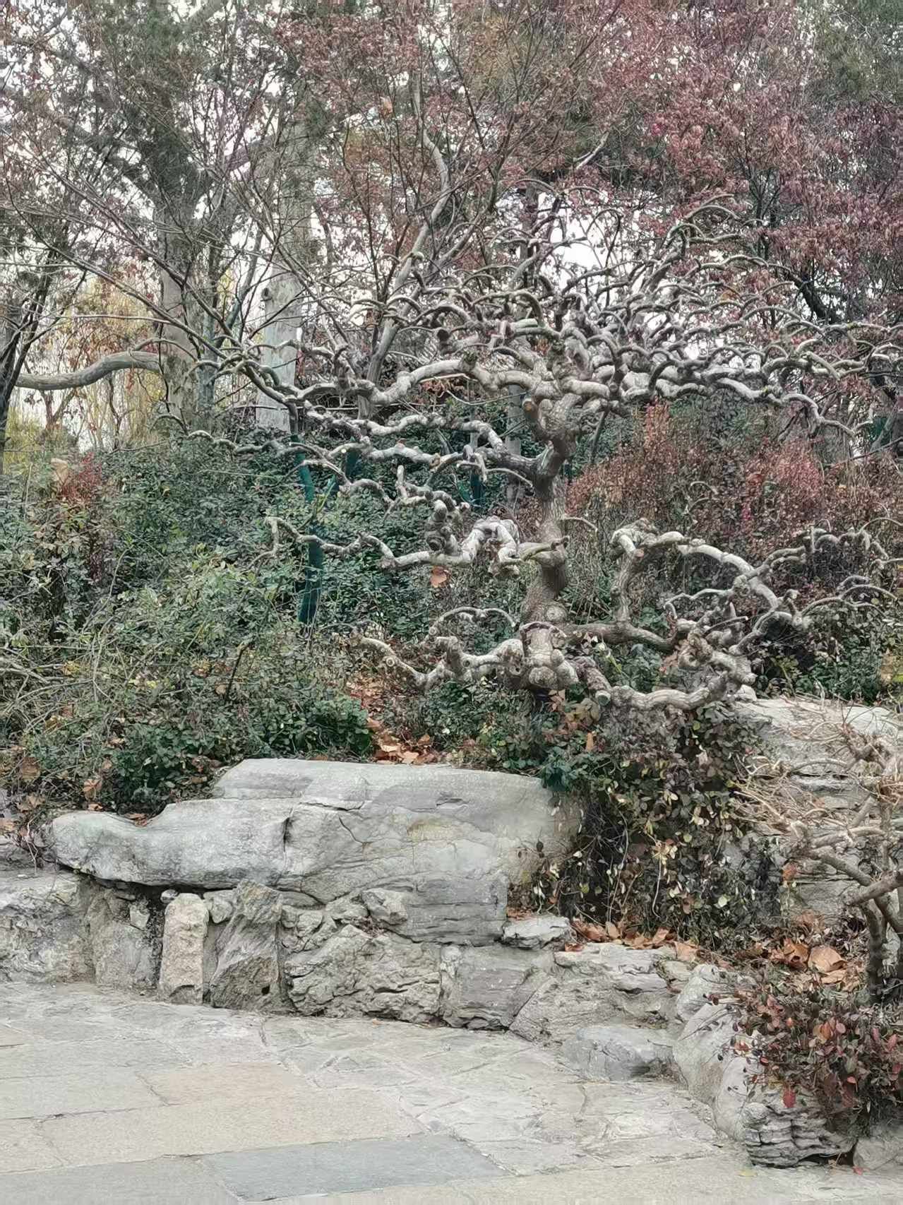 天下第一泉景区旅行图片 1