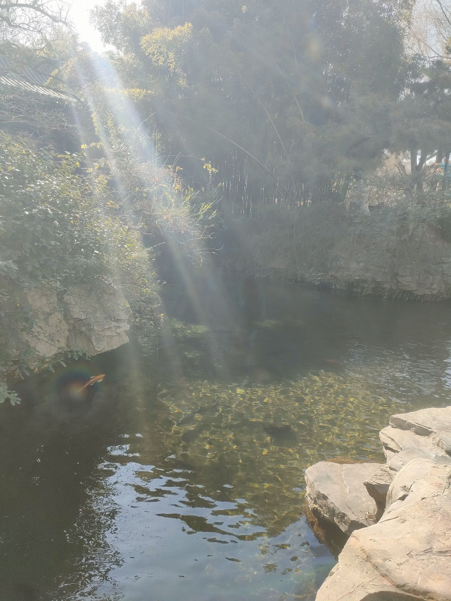 天下第一泉景区旅行图片 3