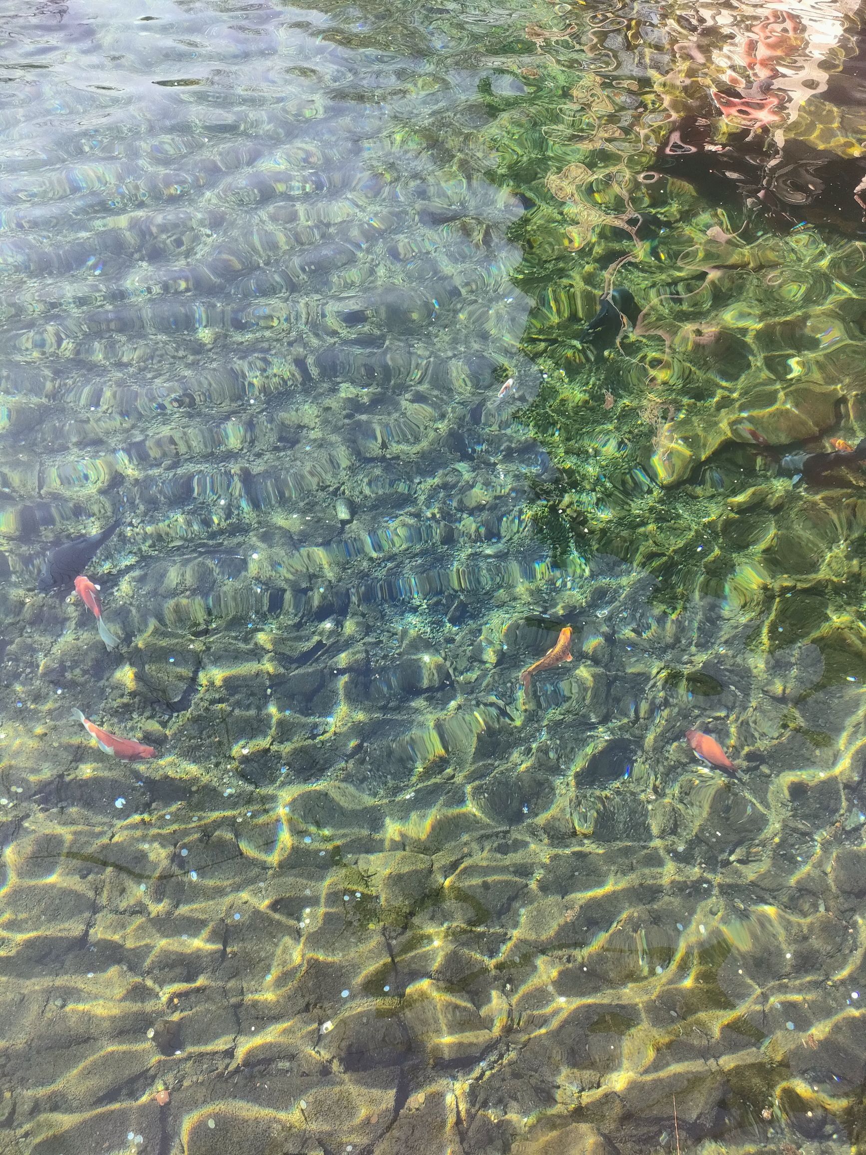 天下第一泉景区旅行图片 1