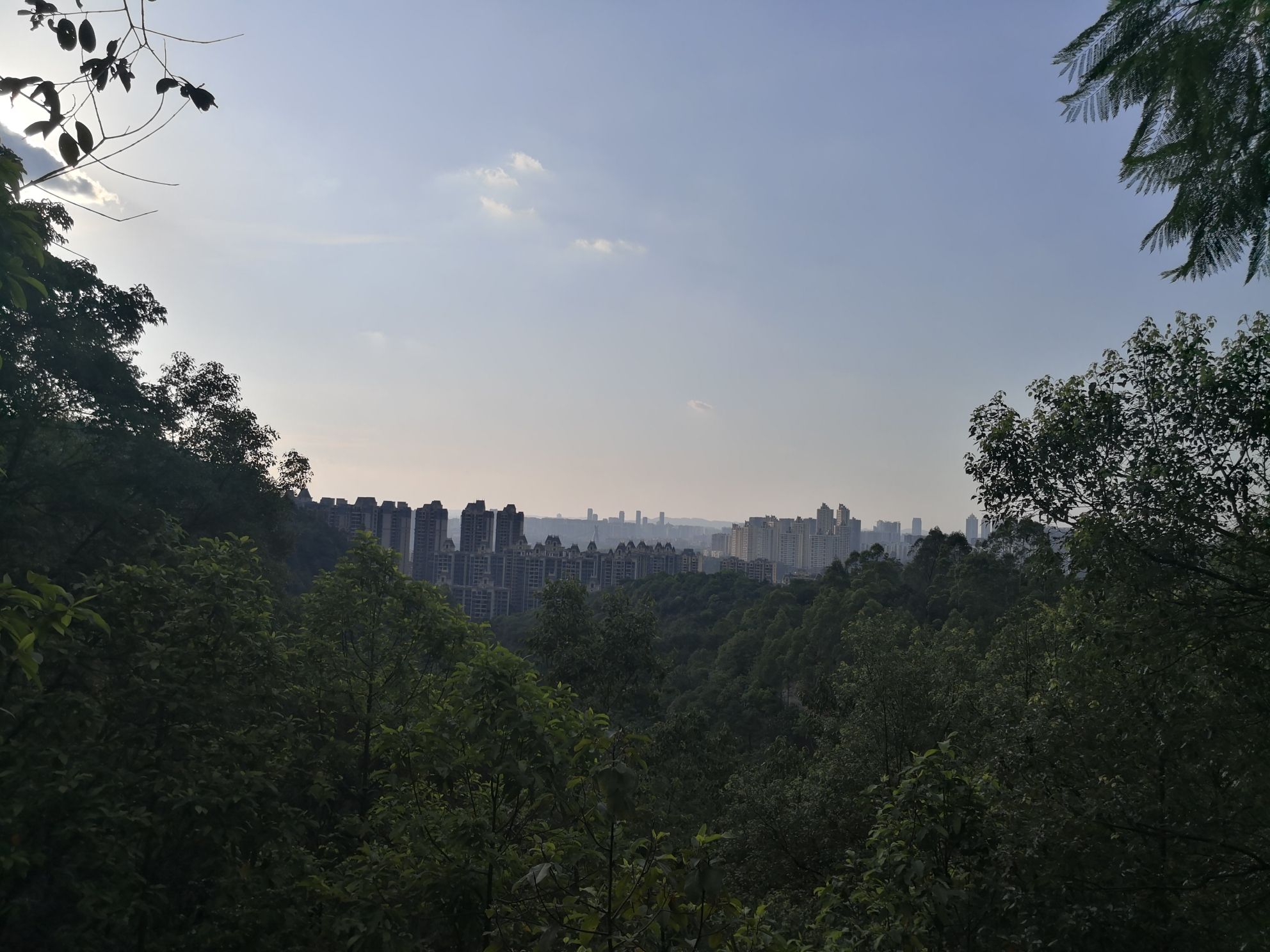老虎山