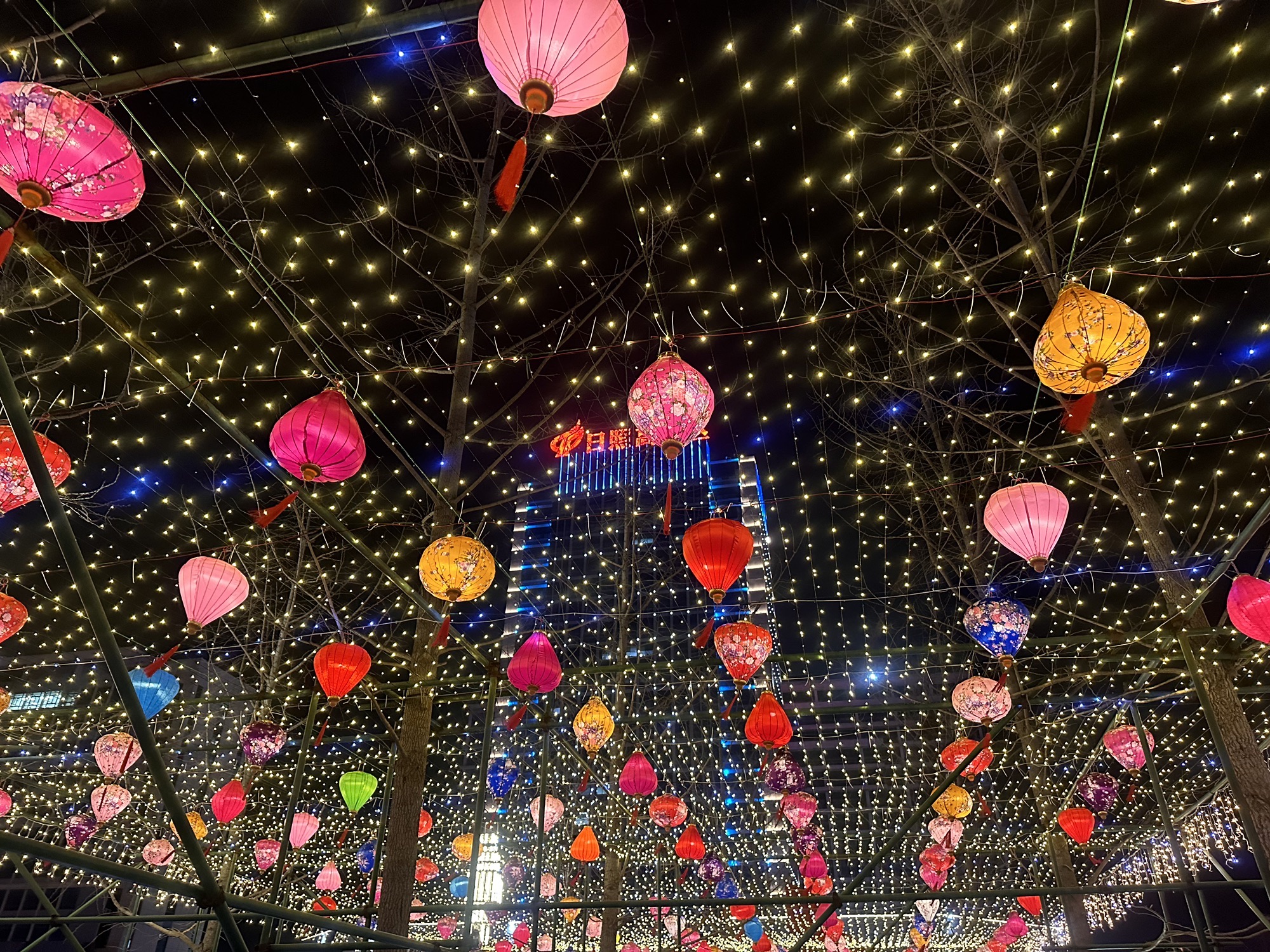 高新区城市生态公园旅行图片 1