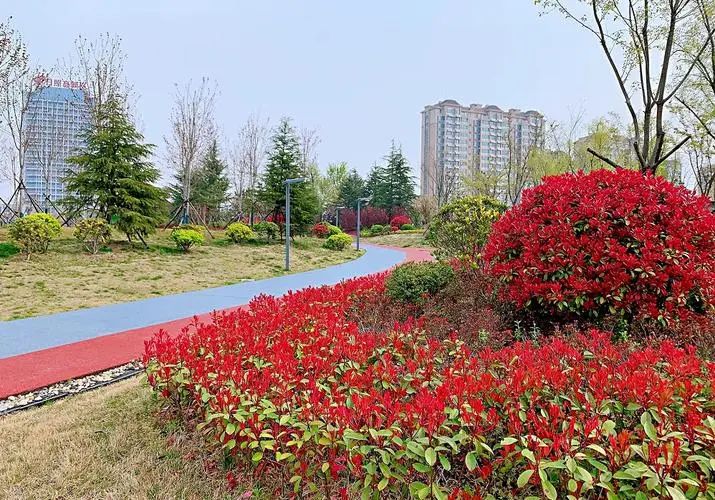 高新区城市生态公园旅行图片 3