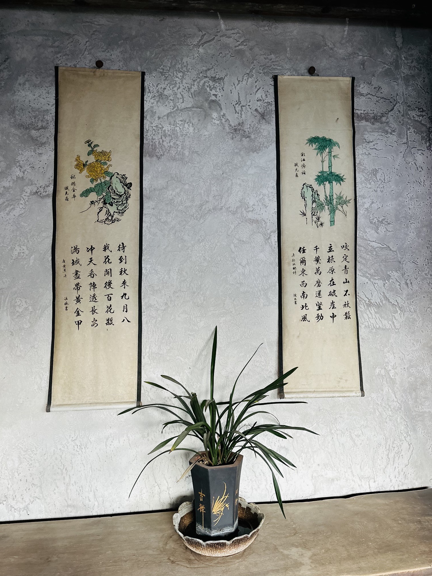侯龙书院旅行图片 2