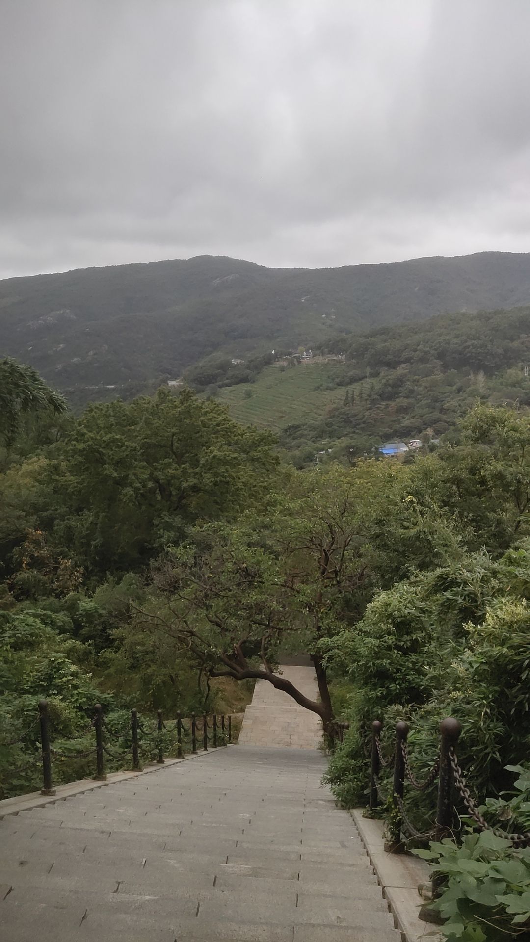 花果山风景区-猴王国