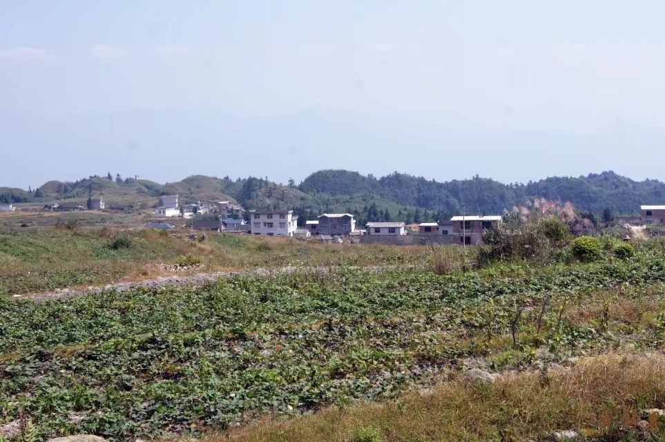 巴勒山玻璃栈道旅行图片 3