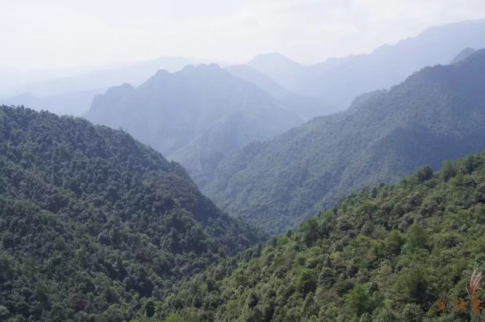 巴勒山玻璃栈道旅行图片 2