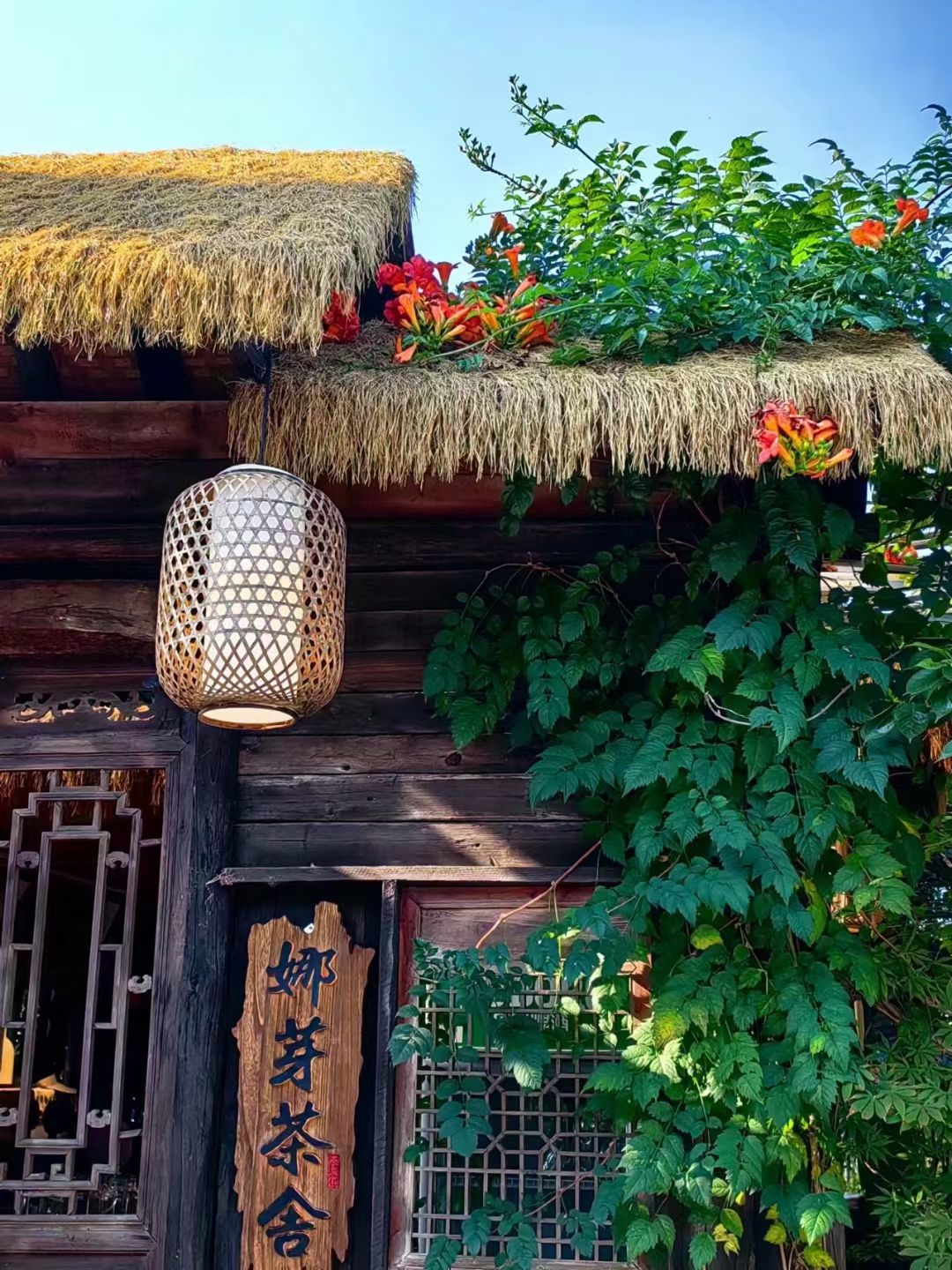 娜芽植物园旅行图片 3