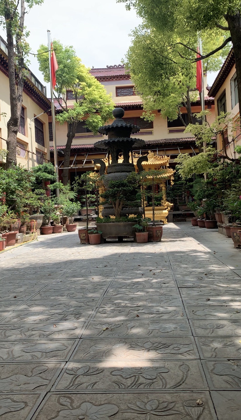 百龙坊旅行图片 1