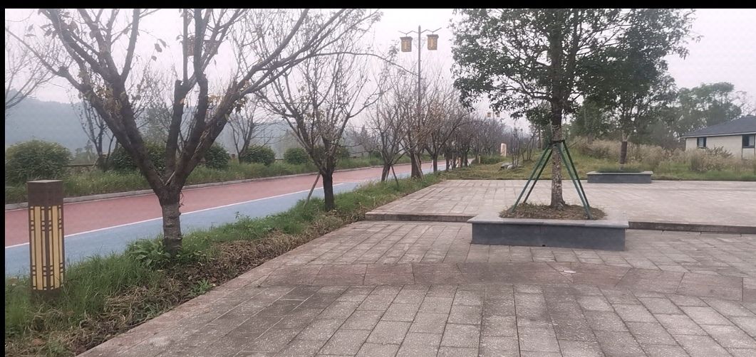 蓬安漫滩湿地公园旅行图片 2