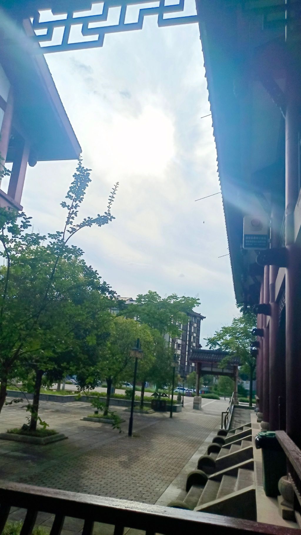 蓬安漫滩湿地公园旅行图片 3