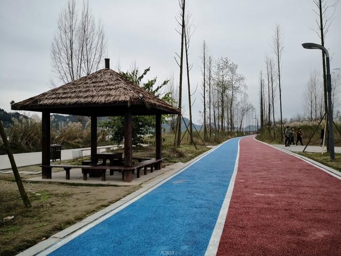 蓬安漫滩湿地公园旅行图片 2