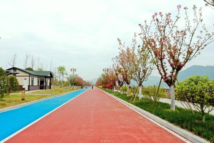 蓬安漫滩湿地公园旅行图片 3