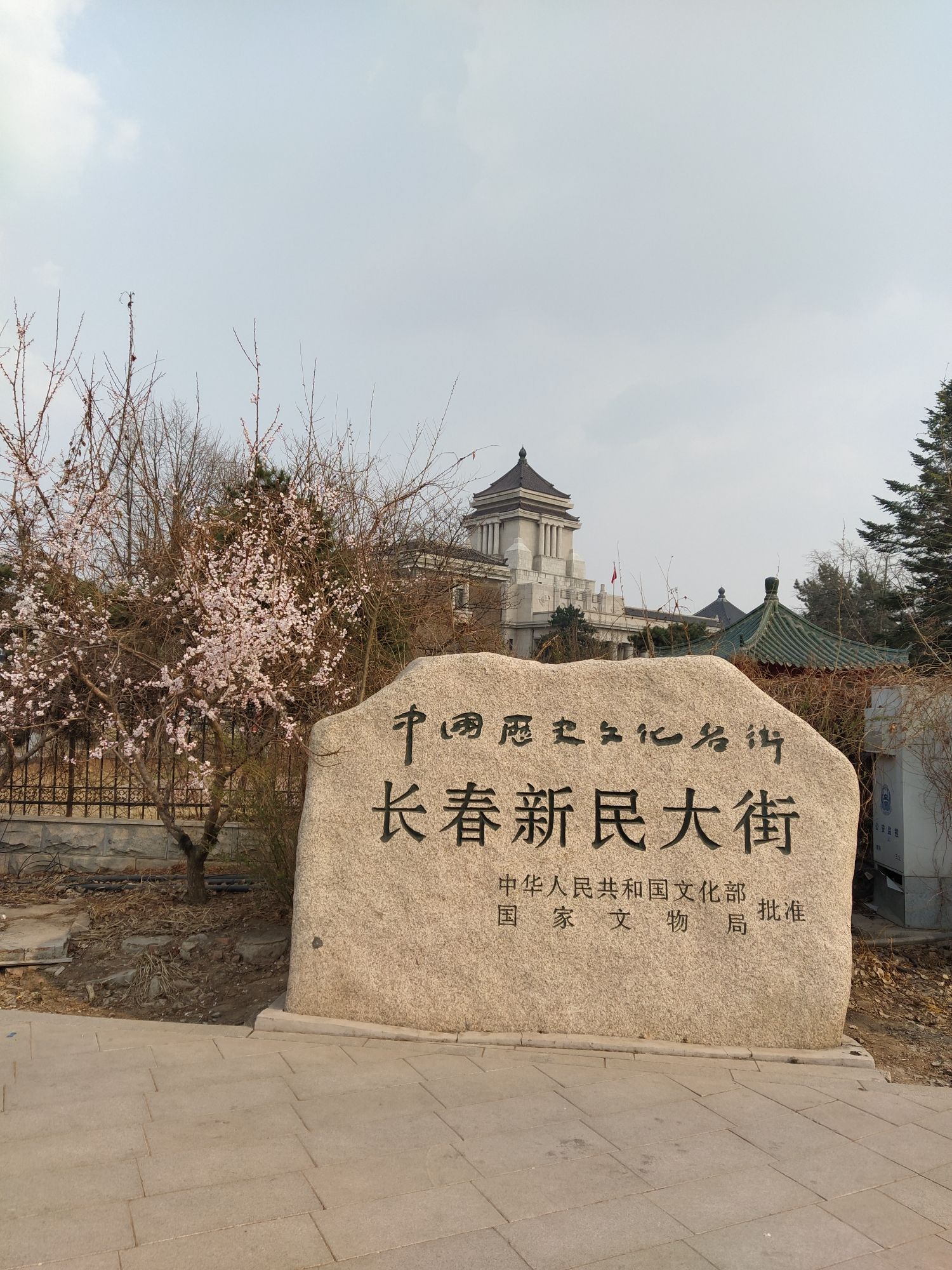 长春新民大街旅行图片 1