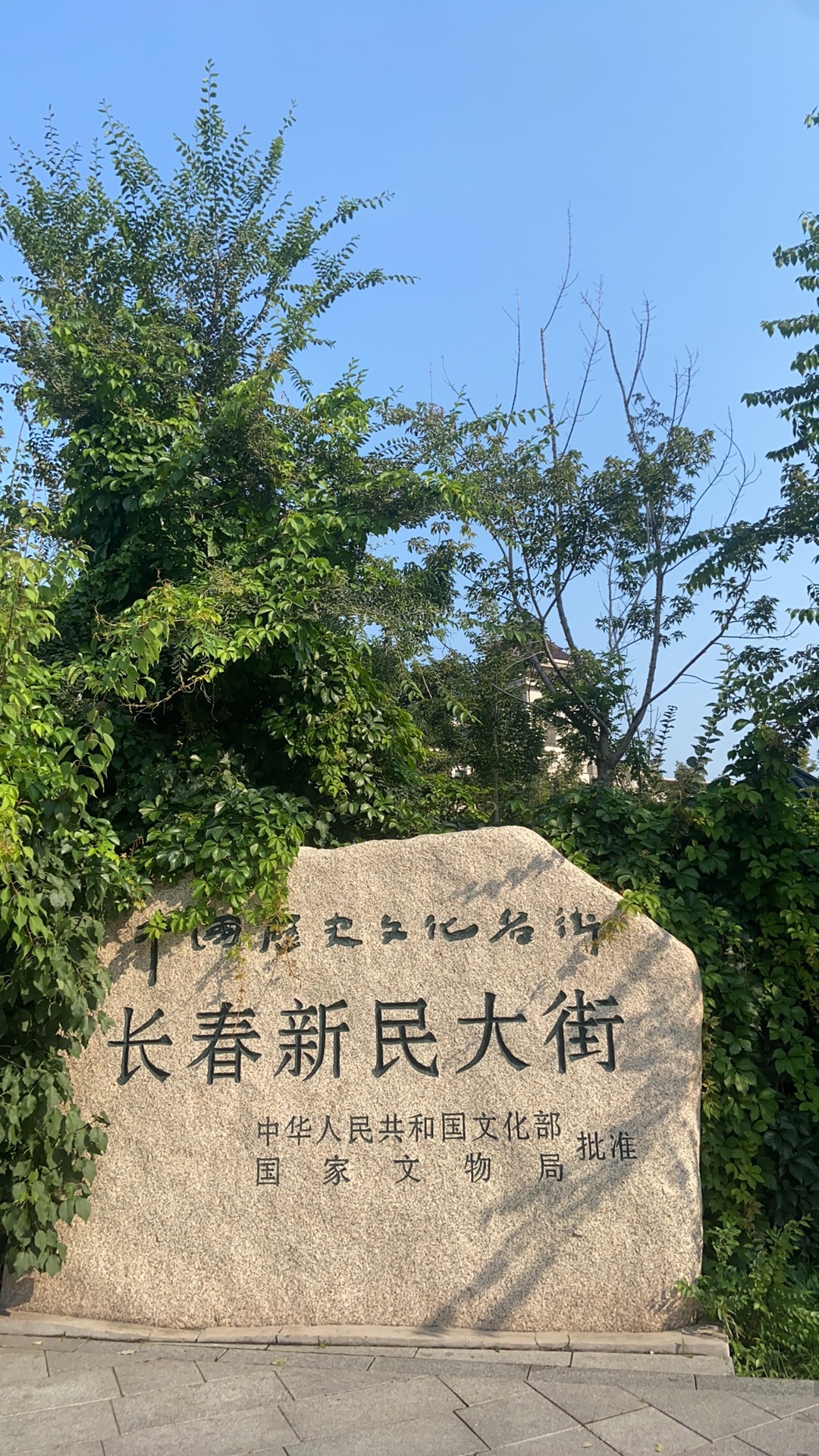 长春新民大街旅行图片 1