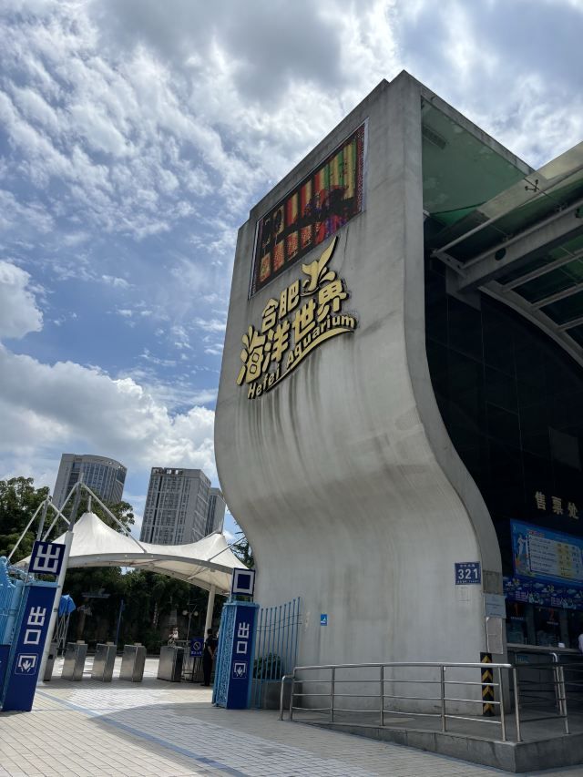 合肥海洋世界旅行图片 3