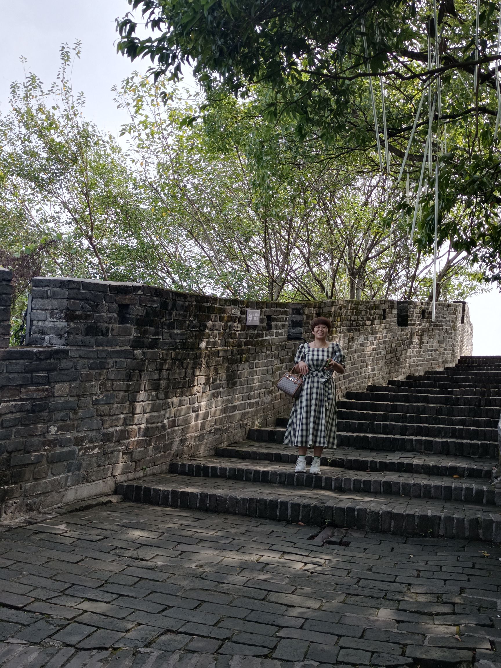 水尾山公园旅行图片 2