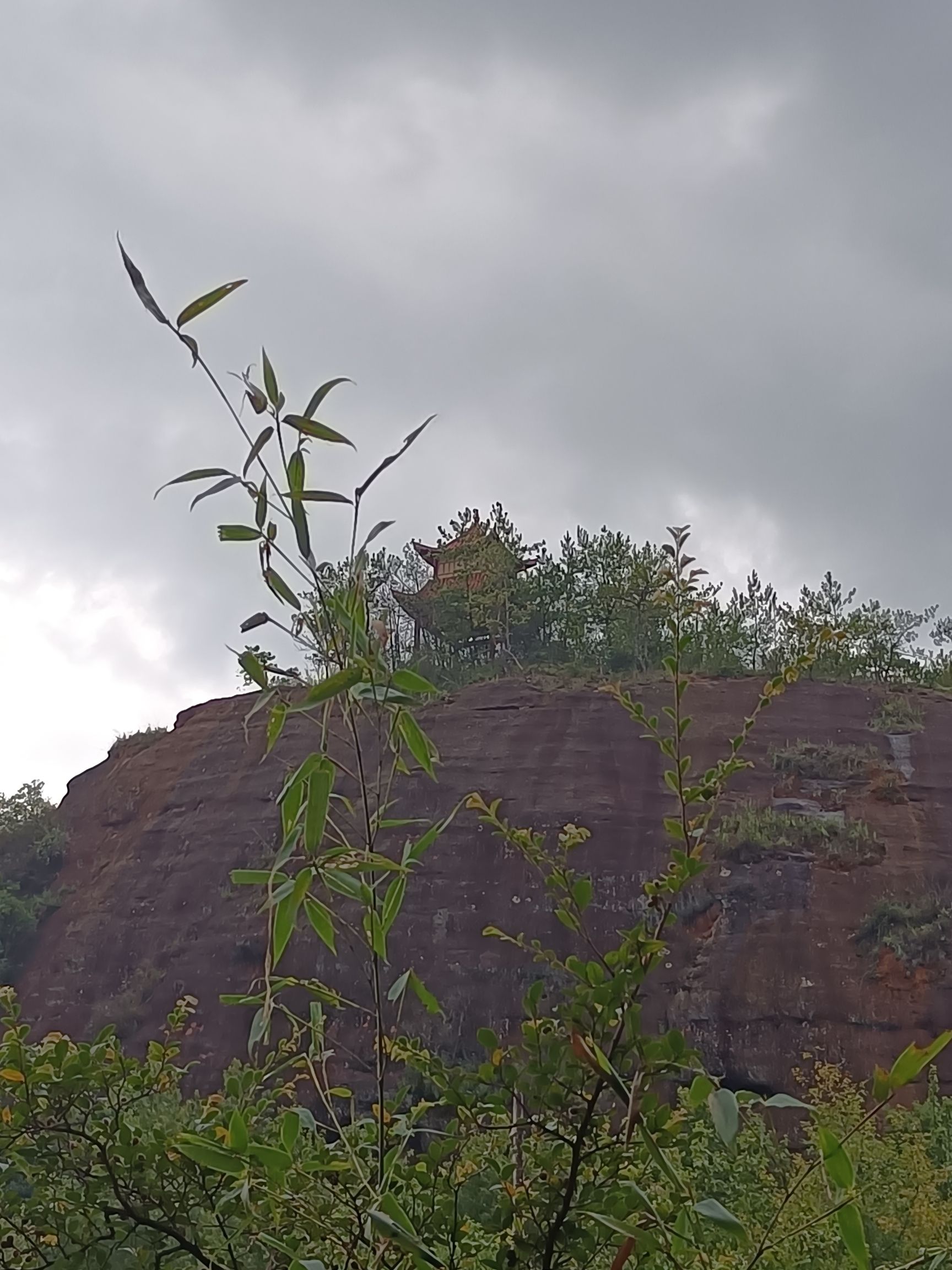 水尾山公园旅行图片 3