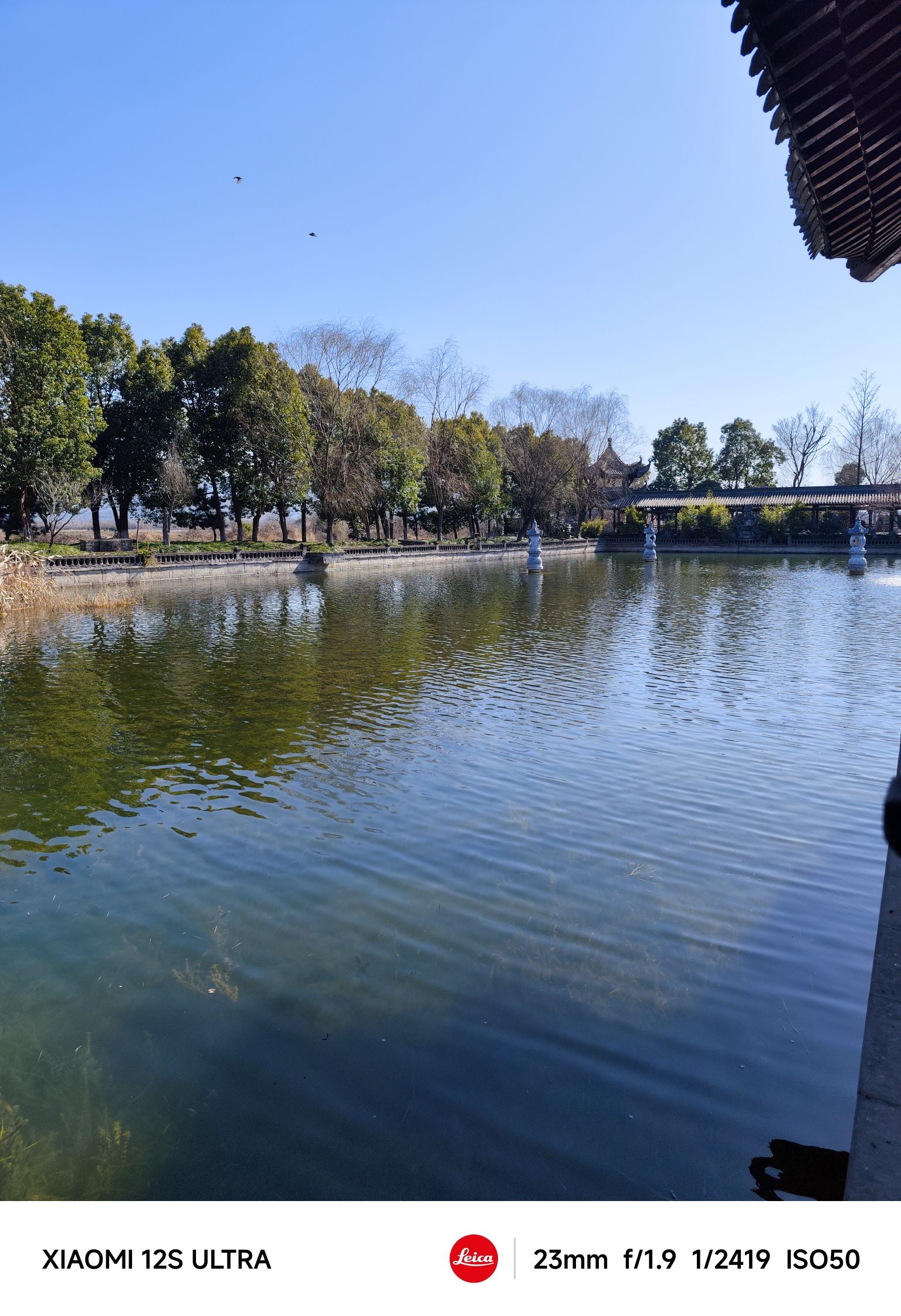 南北湖湿地公园旅行图片 2