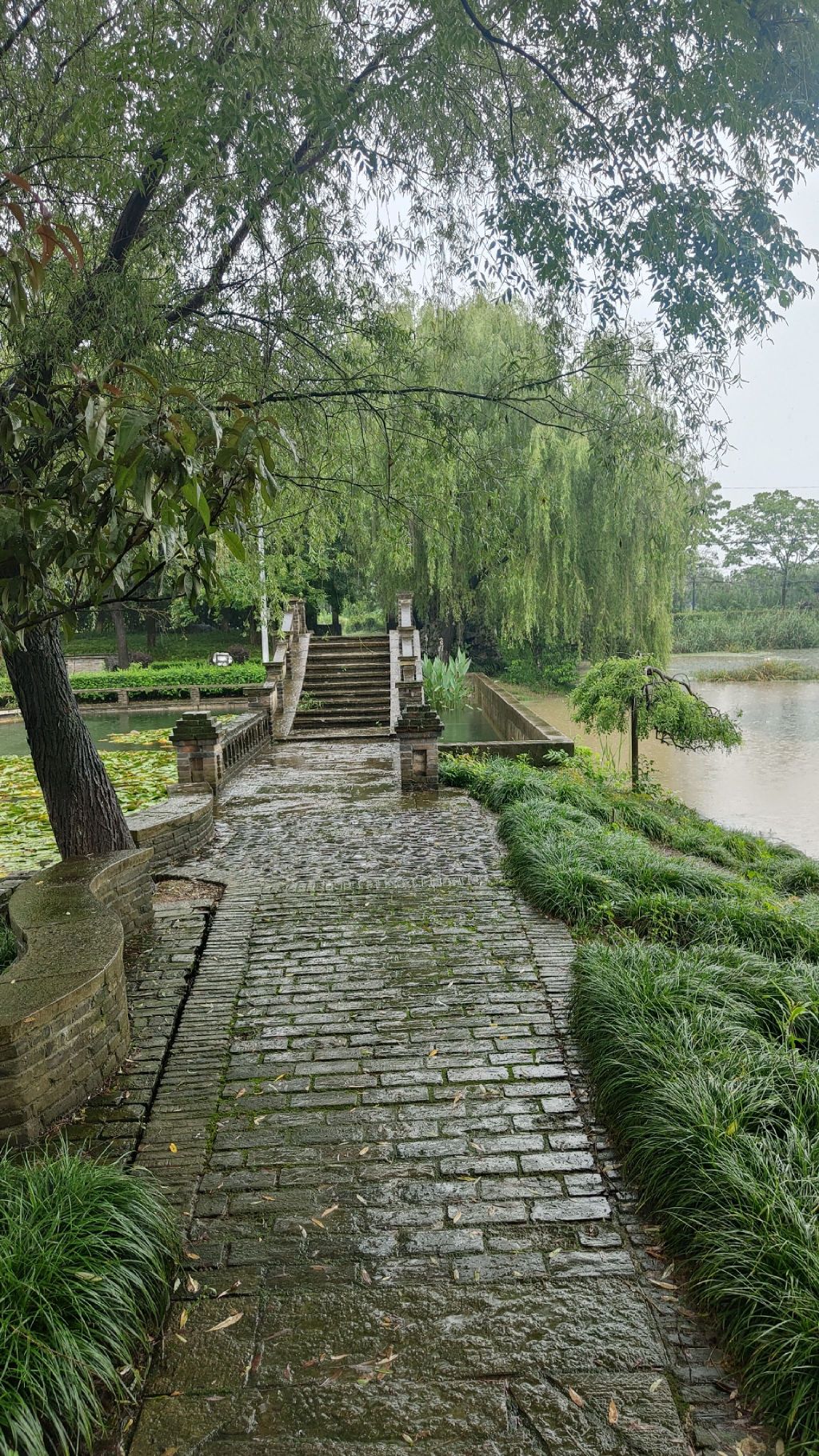 南北湖湿地公园旅行图片 1