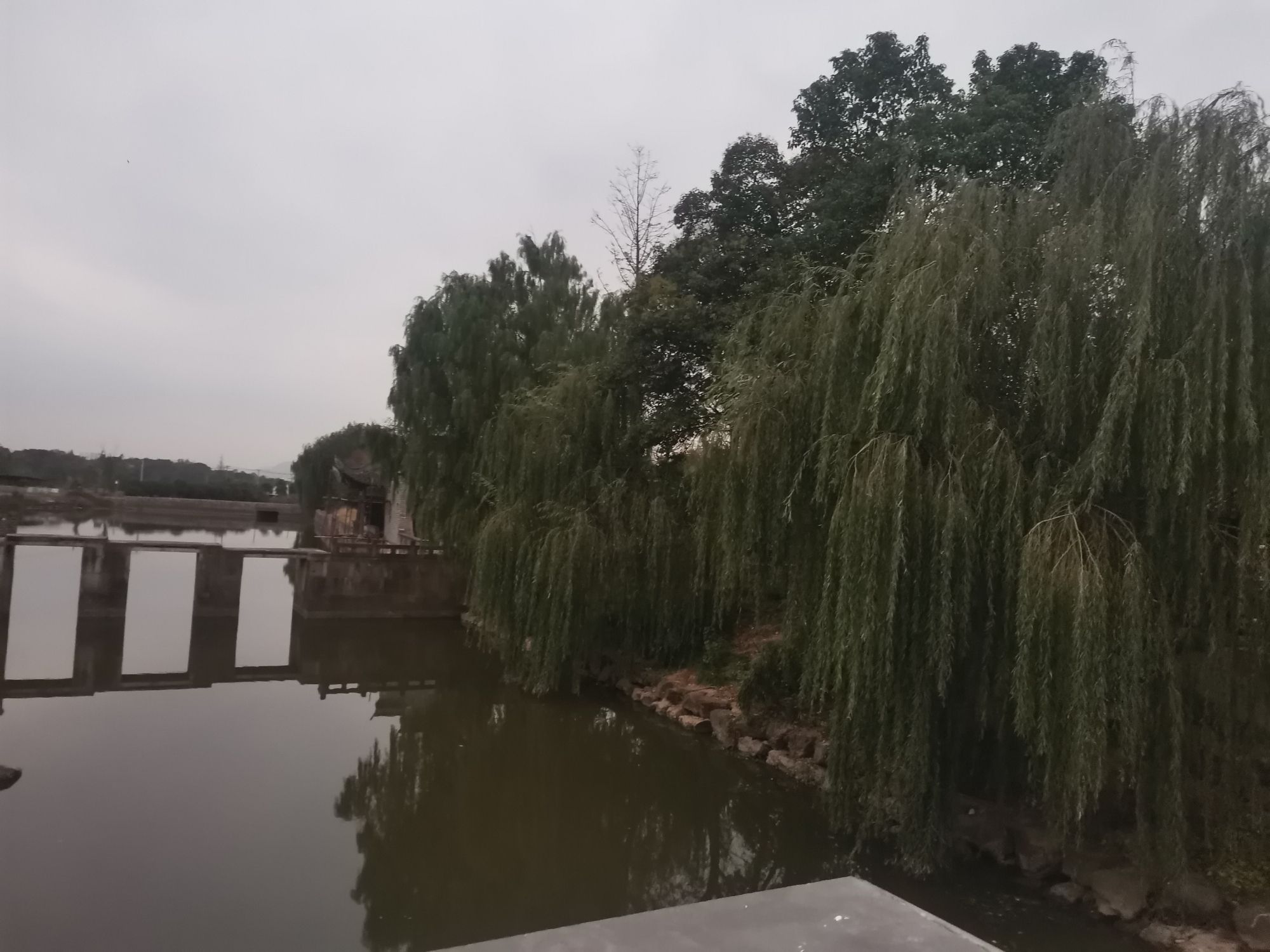 南北湖湿地公园旅行图片 3