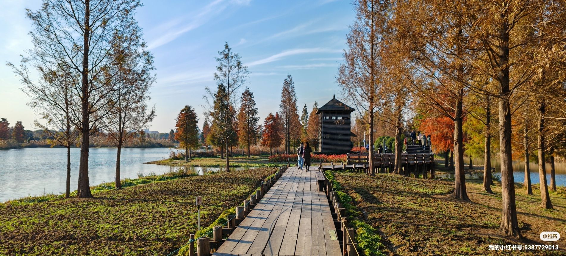 青西郊野公园旅行图片 2