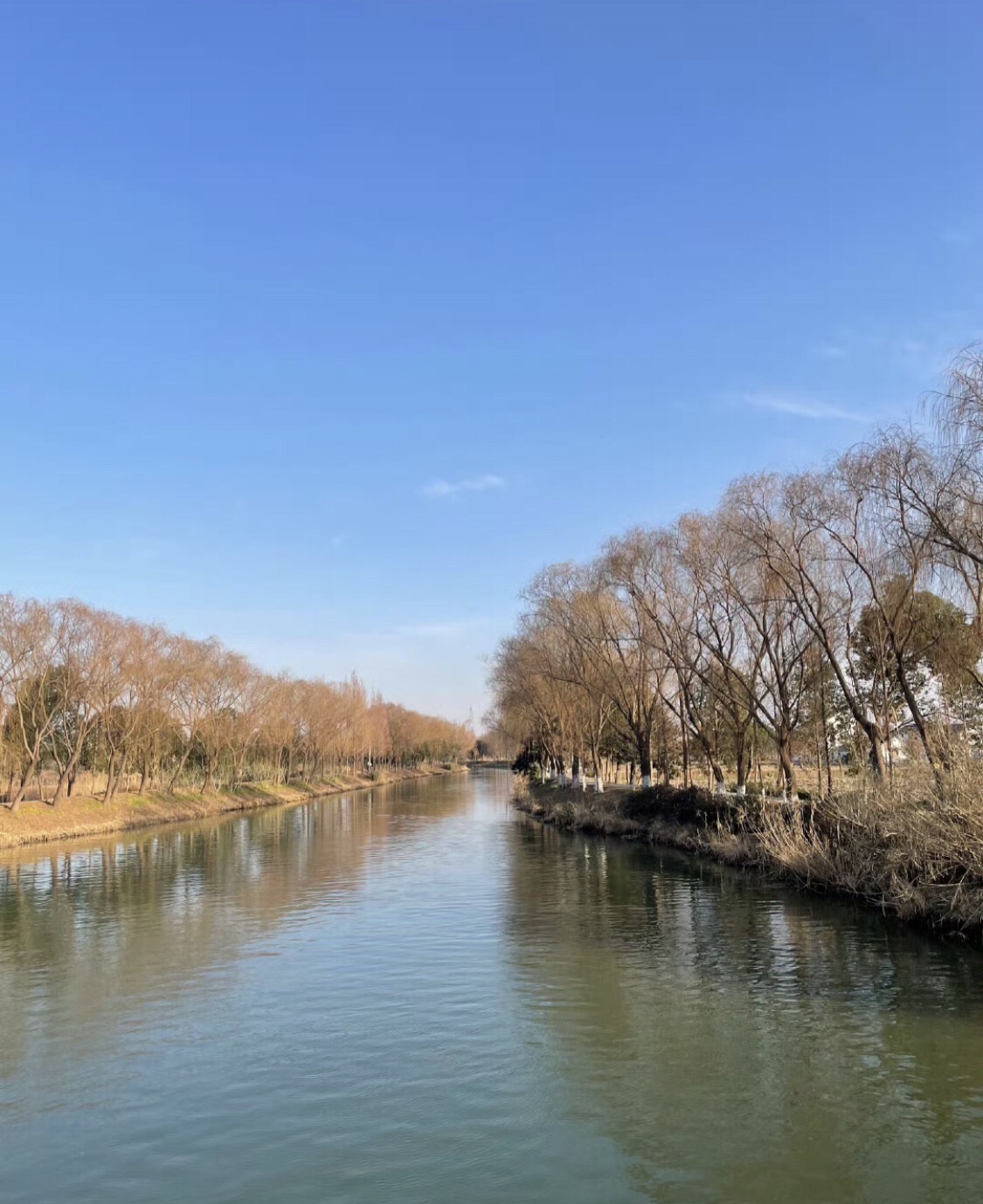 青西郊野公园旅行图片 2