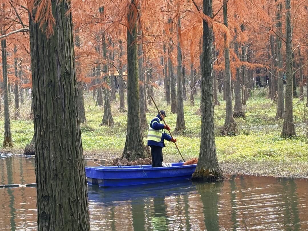 青西郊野公园旅行图片 1