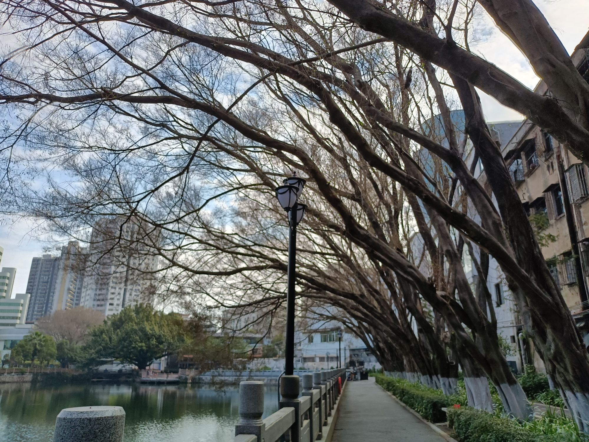梅州市足球文化公园旅行图片 2