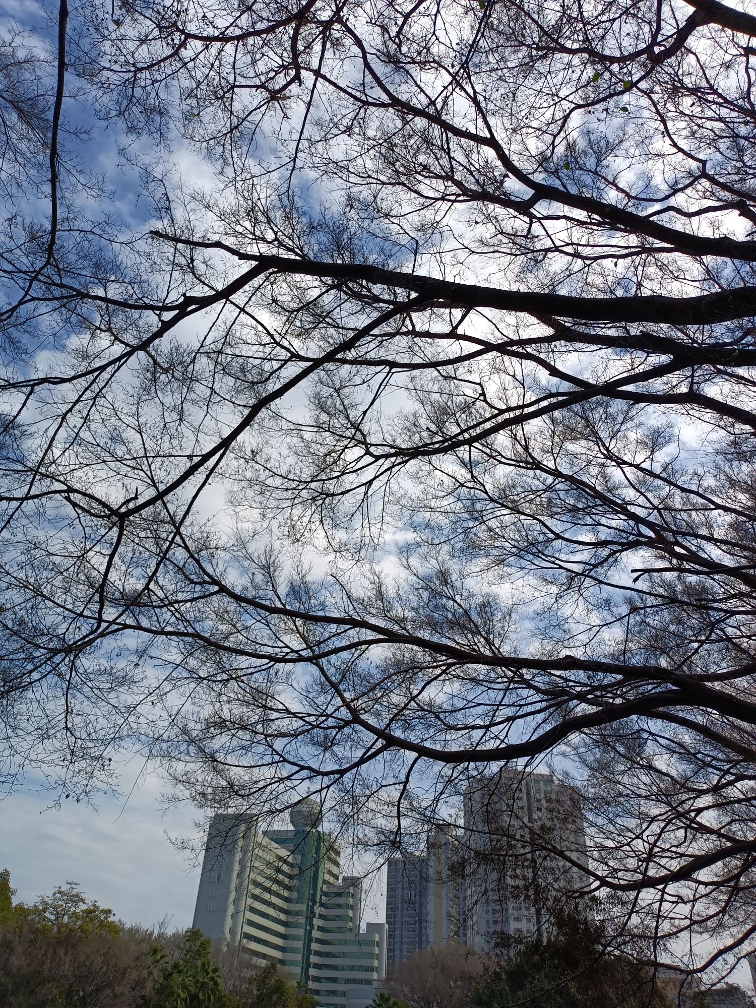 梅州市足球文化公园旅行图片 3