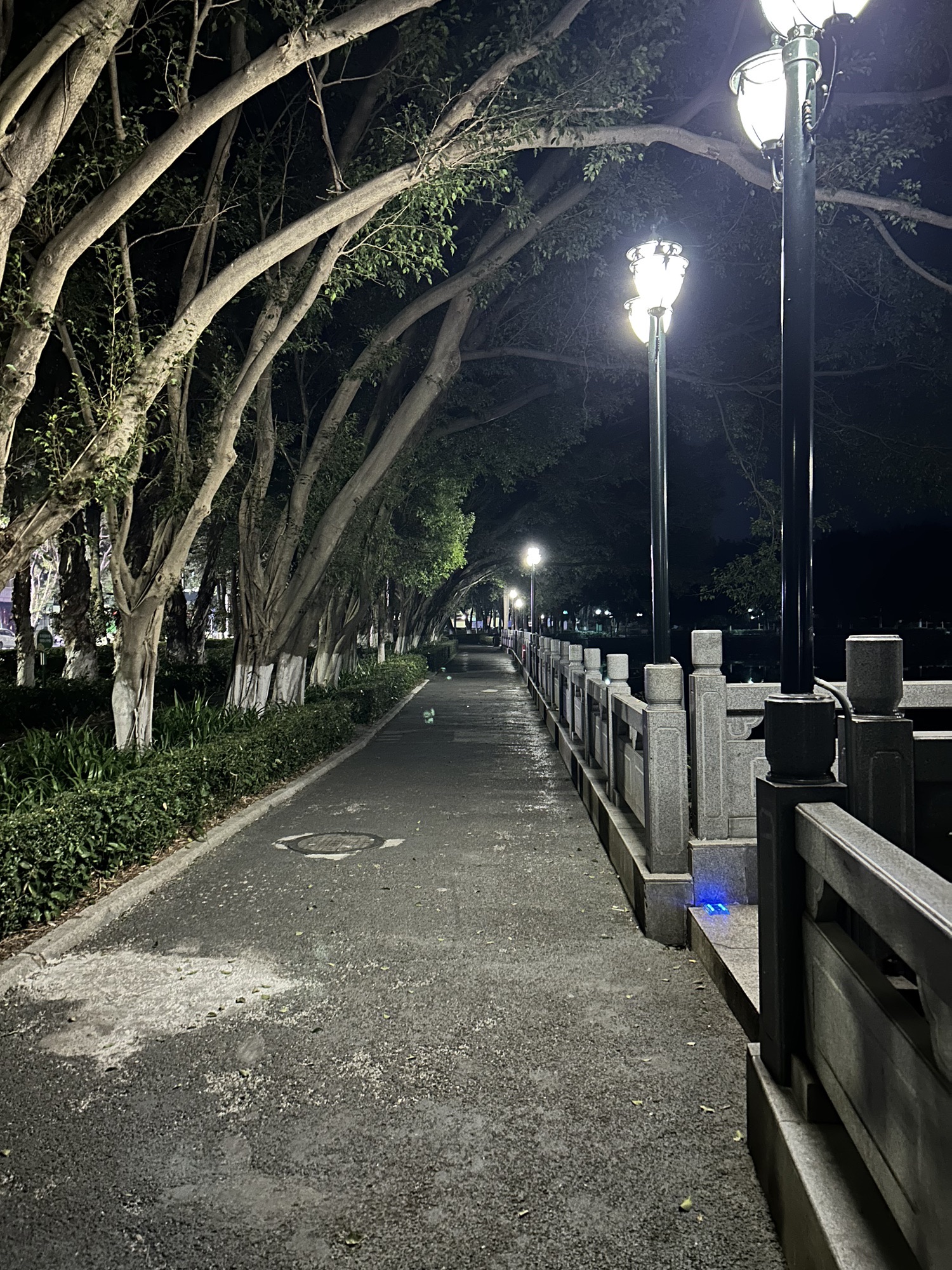 梅州市足球文化公园旅行图片 3