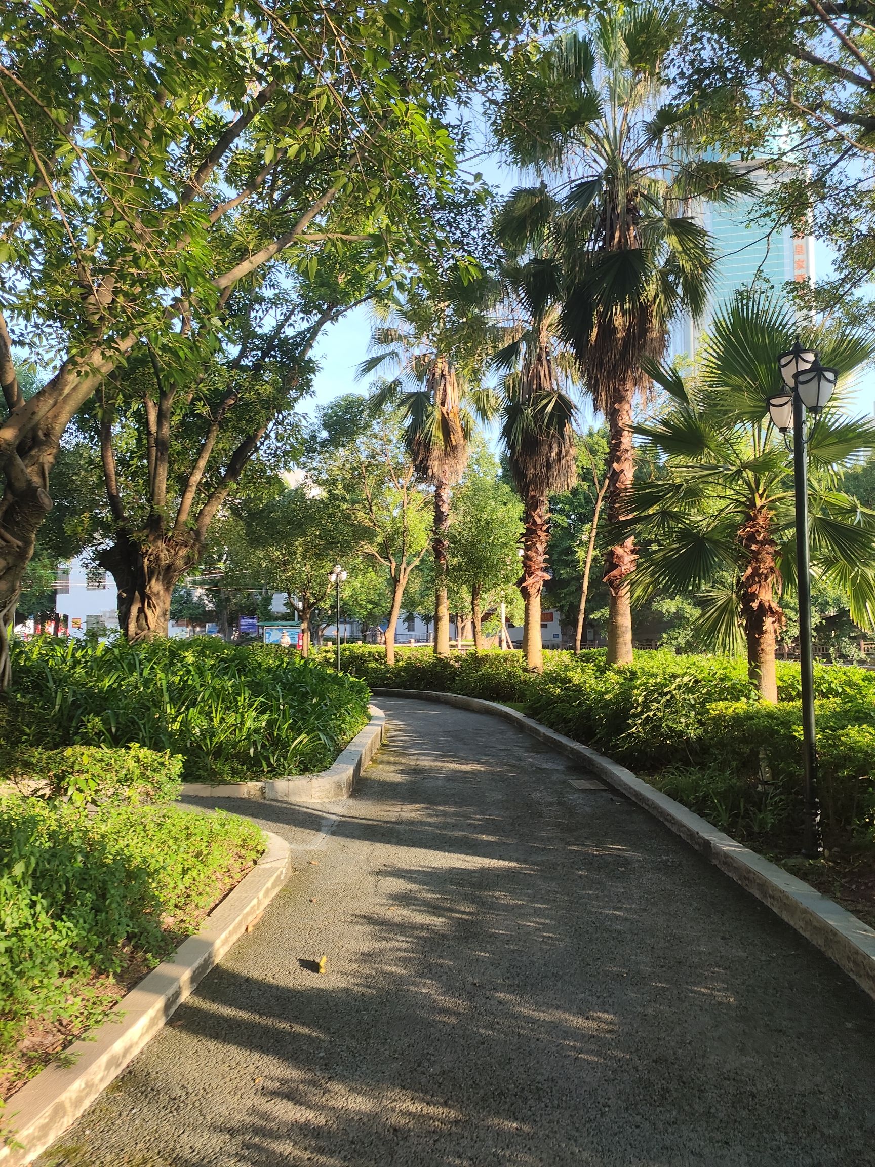 梅州市足球文化公园旅行图片 1